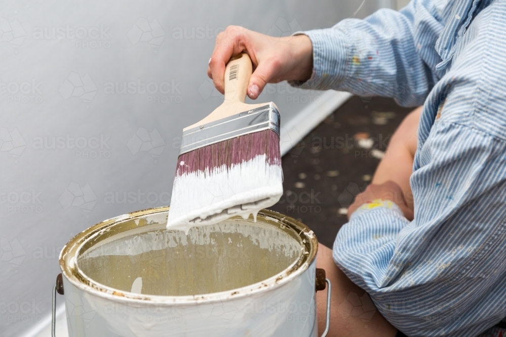 Loaded paintbrush dripping with white paint - Australian Stock Image