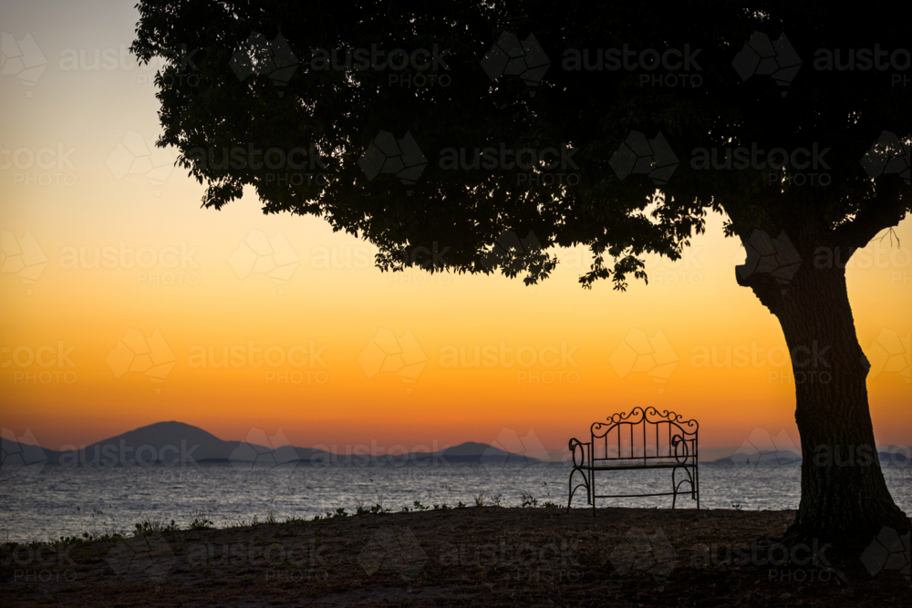 Lonely bench beneath a tree at sunset overlooking distant islands - Australian Stock Image