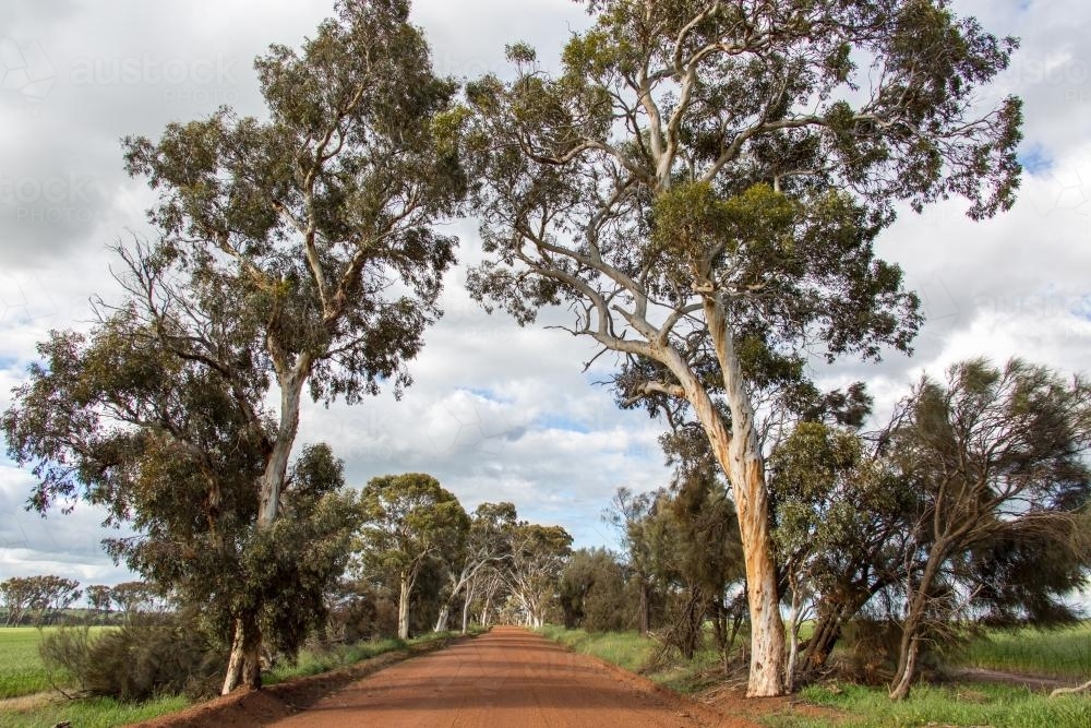 Lonely, unsealed, straight country road - Australian Stock Image
