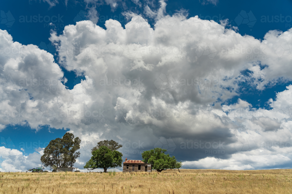 Long angled view of a small rundown farmhouse in a dry paddock under billowing storm clouds - Australian Stock Image