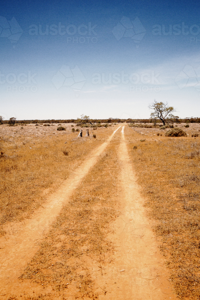 Long dusty dirt path at the park with dry and sparse vegetation - Australian Stock Image