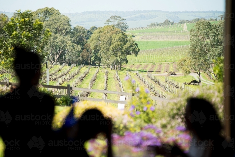 Long lunch looking over vineyards - Australian Stock Image