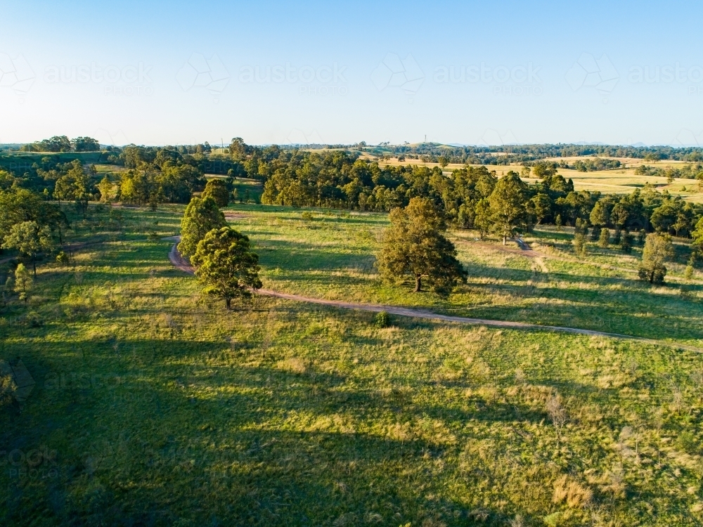 Long shadows in paddock of gum trees and green grass in Hunter Valley - Australian Stock Image