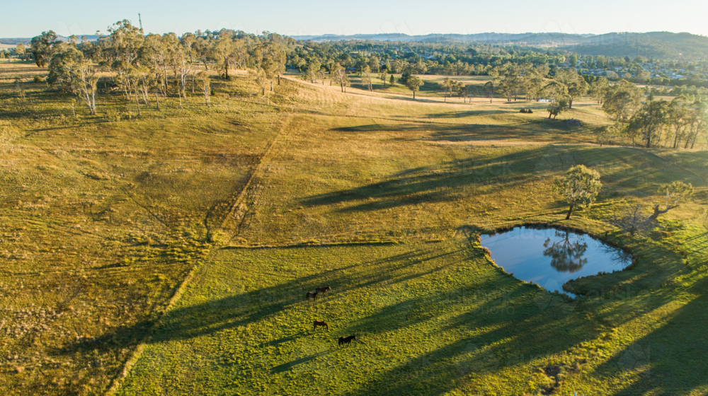 Long shadows over paddock at sunset with horses and dam in field - Australian Stock Image