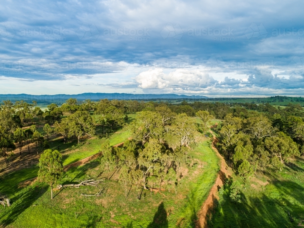 Long shadows over paddock with green grass and rain clouds - Australian Stock Image