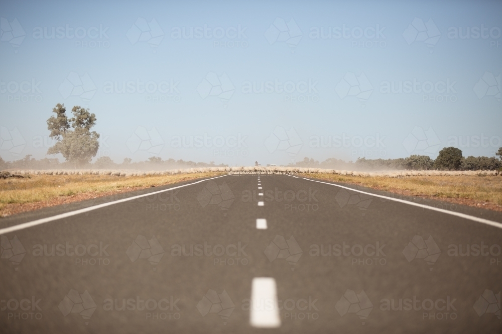 Long straight road in the outback - Australian Stock Image