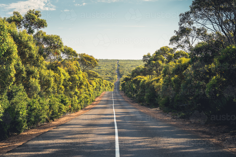 Long winding Cape du Couedic Road on Kangaroo Island through bushland and gumtrees - Australian Stock Image