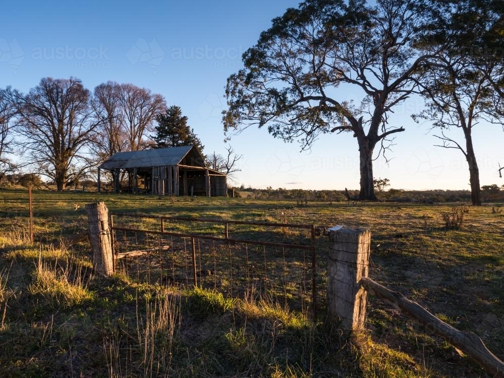 Looking across a paddock to a farm shed - Australian Stock Image