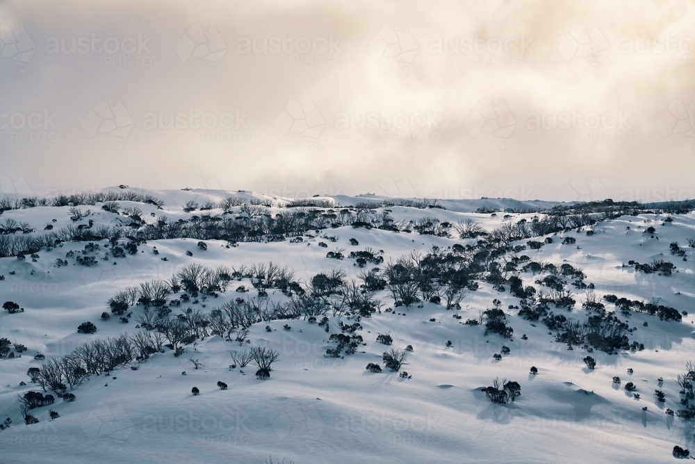 Looking across the snowy valley of Australian Snowfields at golden hour - Australian Stock Image