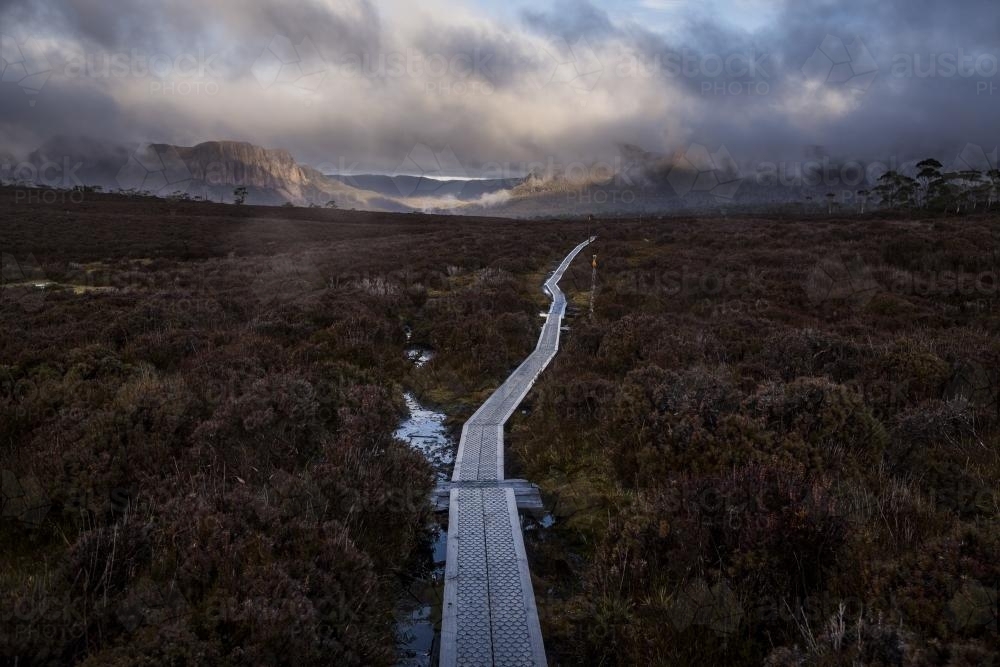 Looking ahead along trail whilst walking the Overland Track - Australian Stock Image