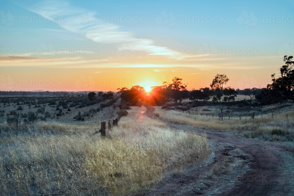 Looking along a dirt road through fields with the sun rising in the distance. - Australian Stock Image