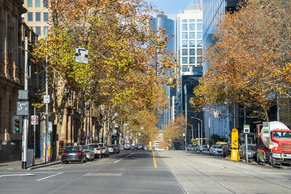 Looking along a tree lined city street with no traffic. - Australian Stock Image
