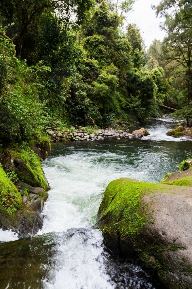 Looking along Allyn River at mossy green rocks and bubbling waterfall - Australian Stock Image