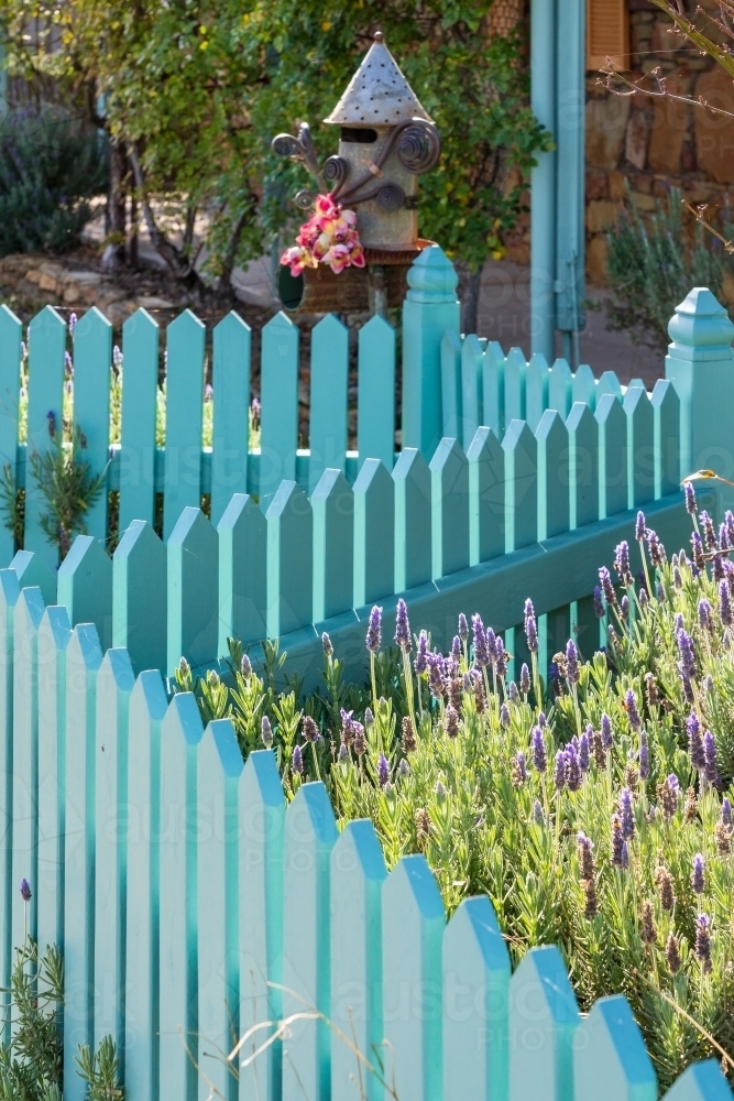 Looking along the top of a zigzagging garden fence of brightly painted pickets - Australian Stock Image