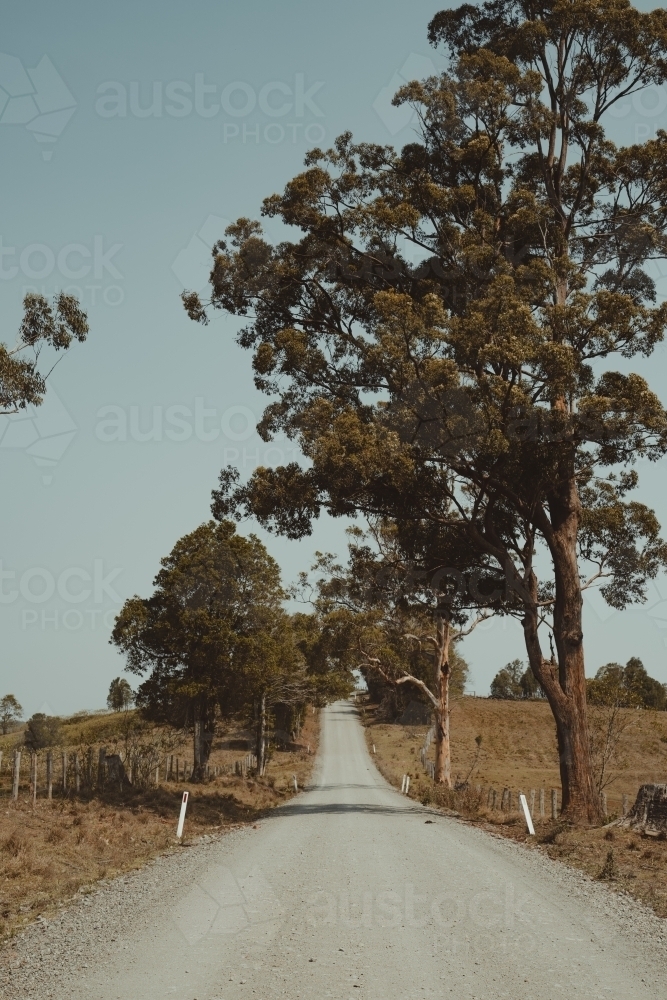 Looking down a country gravel road in rural New South Wales. - Australian Stock Image
