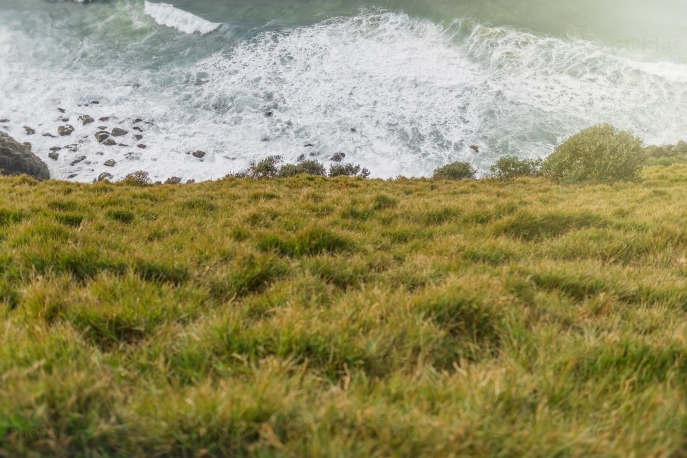Looking down a grassy headland into the ocean - Australian Stock Image