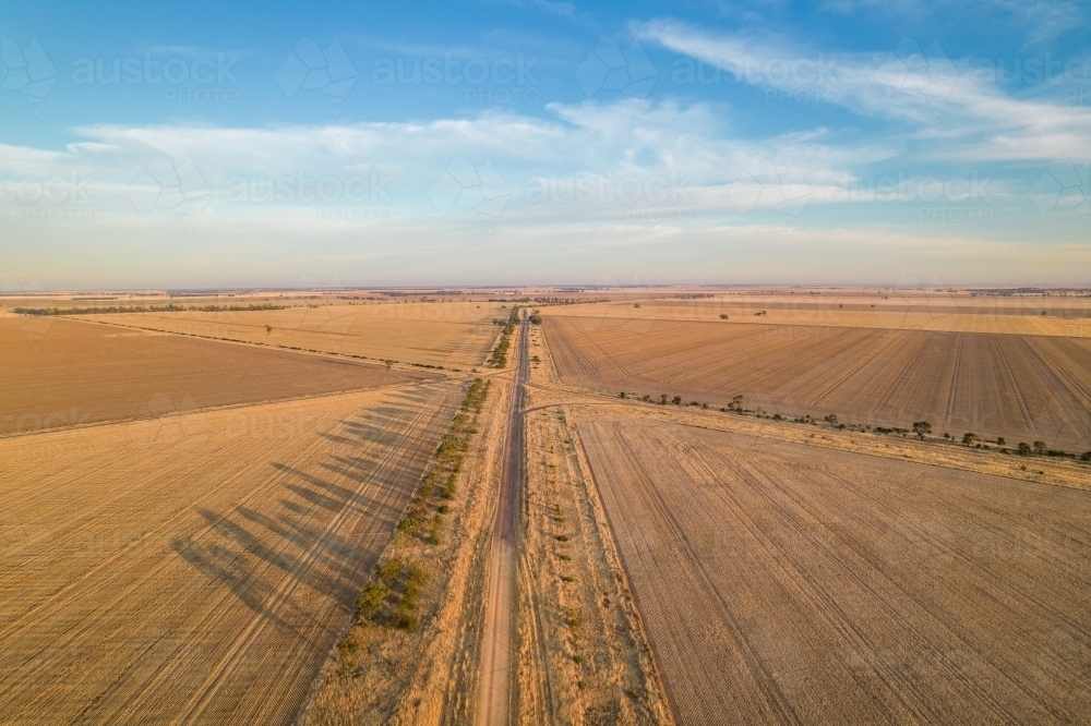 Looking down along a country road through fields in the early morning sunlight - Australian Stock Image