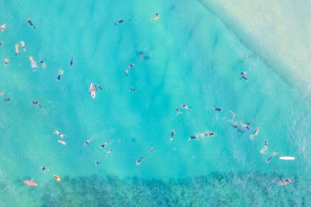 Looking down at multiple divers and swimmers exploring the turquoise underwater world off the Austra - Australian Stock Image