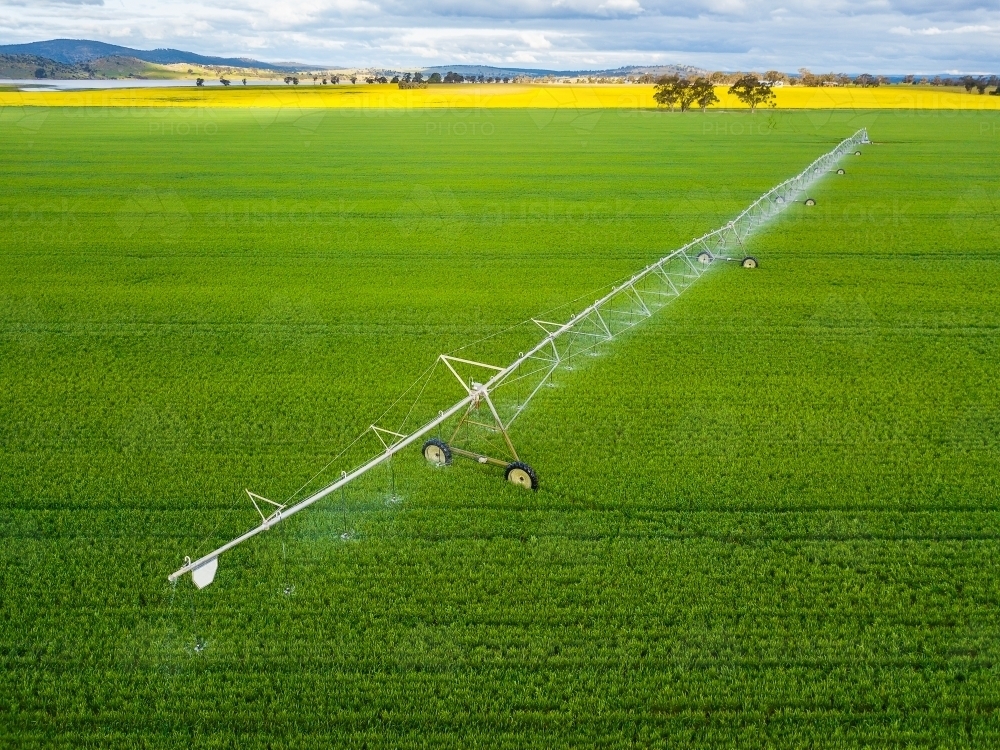 Looking down on a large irrigation sprinkler in a green paddock - Australian Stock Image