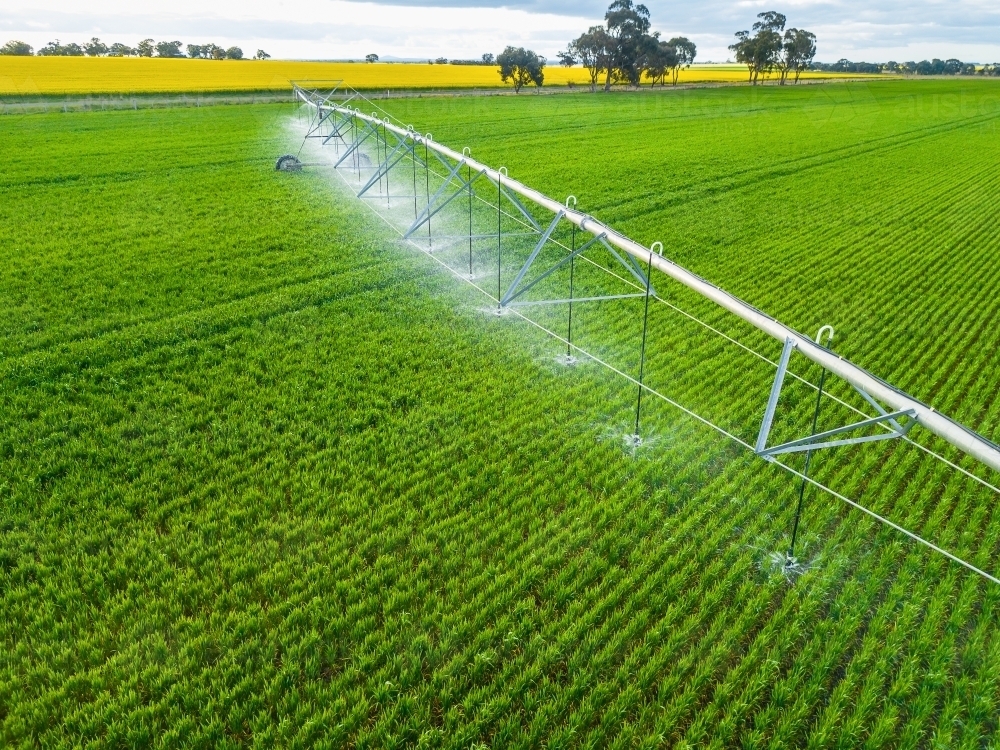 Looking down on a large irrigation sprinkler in a green paddock - Australian Stock Image