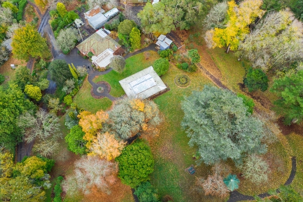 Looking down on autumn trees in a park on a hilltop - Australian Stock Image