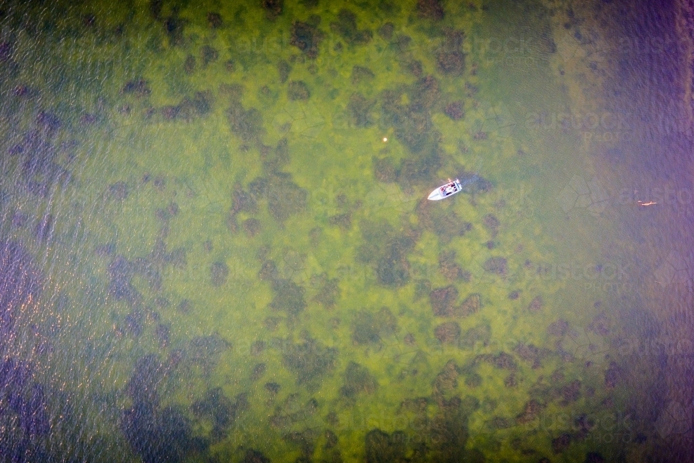 looking down on boat on water with weed on bottom of lake - Australian Stock Image