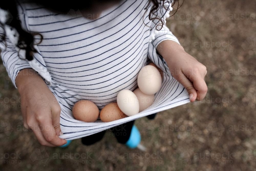 Looking down on girl carrying eggs in her shirt - Australian Stock Image