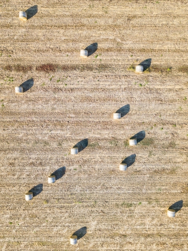 Looking down on round hay bales sitting in a paddock - Australian Stock Image