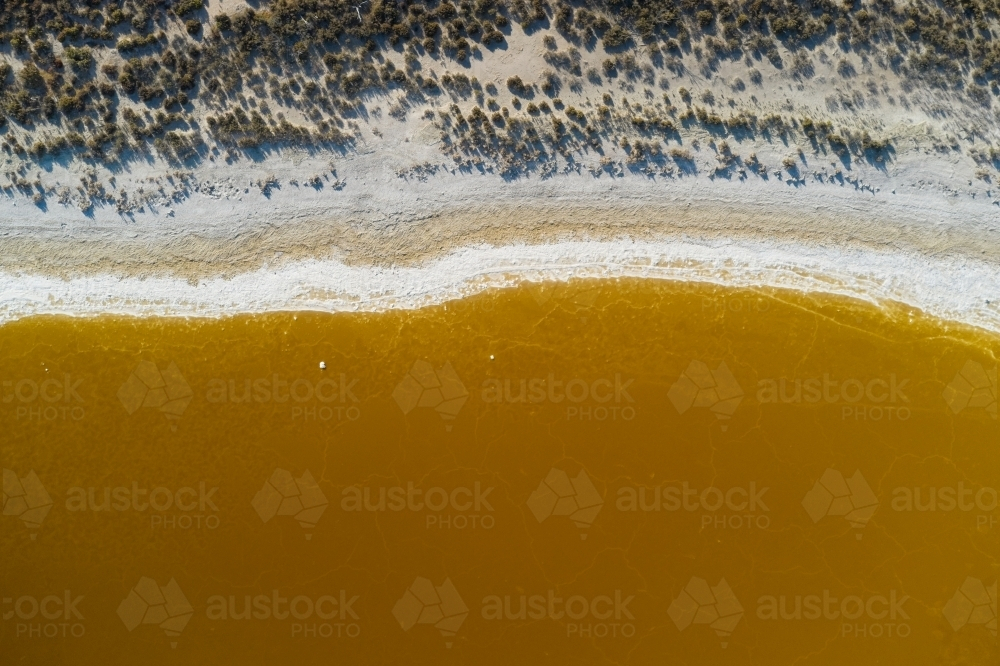 Looking down on the shore of a brown salt lake in rural Western Australia. - Australian Stock Image
