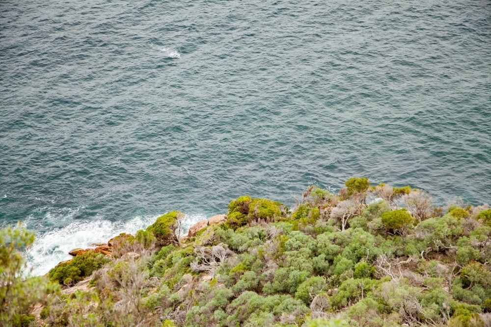 Looking down on trees and ocean from cliff - Australian Stock Image