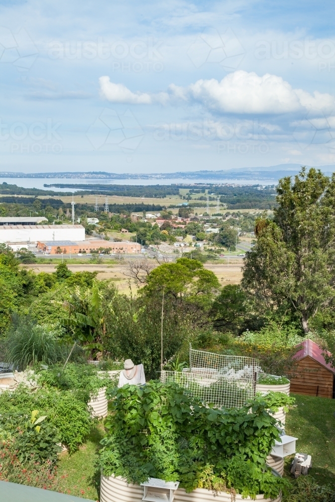 Looking down on vegetable garden and Lake Illawarra in the distance - Australian Stock Image