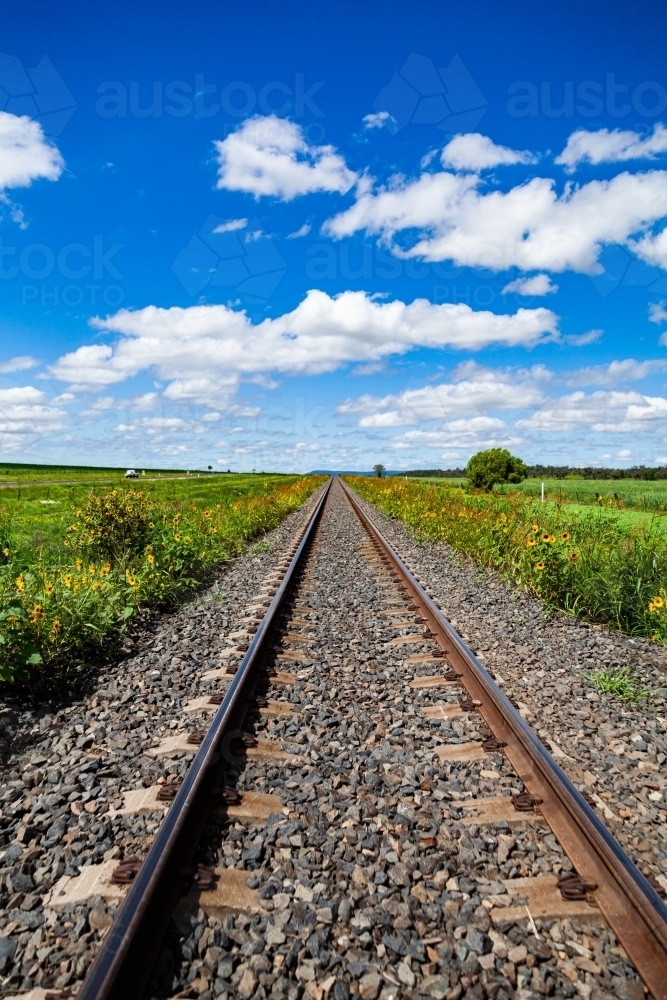 Looking down railway track lined with sunflowers and green to blue sky and clouds above - Australian Stock Image