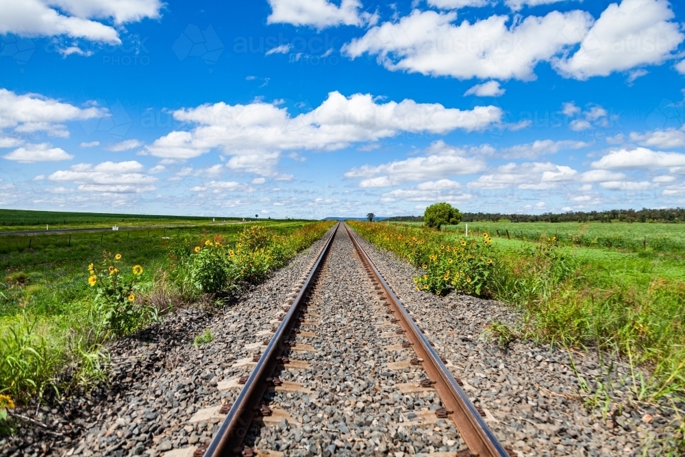 Looking down railway track lined with sunflowers and green to blue sky and clouds above - Australian Stock Image