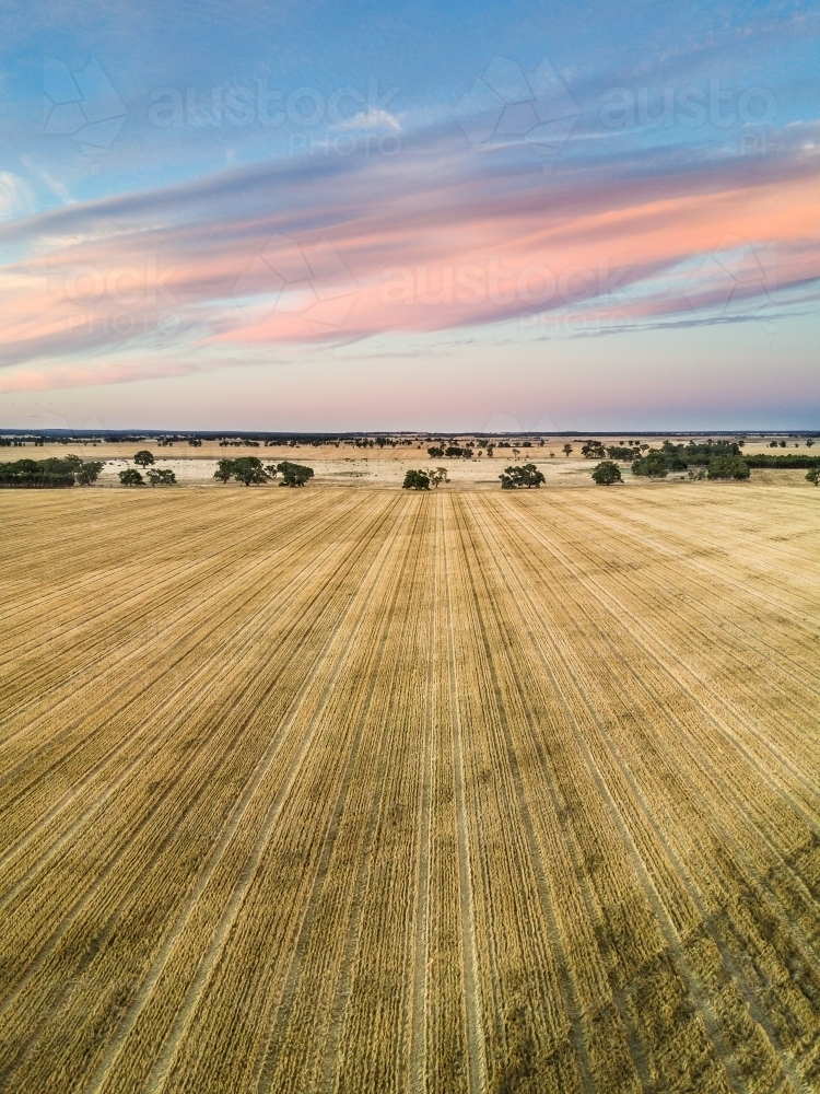 Looking off into the distance over drying farmland at sunset - Australian Stock Image