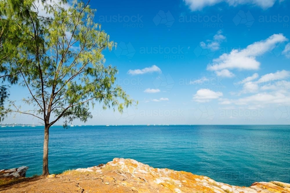 Looking out over yellow land and clear blue waters of Darwin harbour - Australian Stock Image