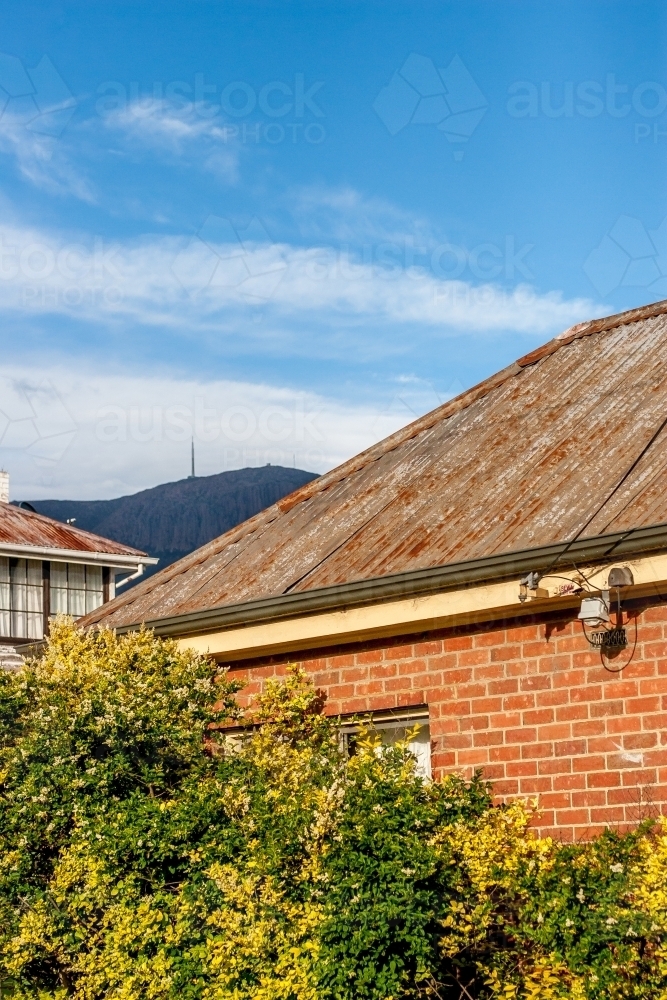 Looking over house rooftops in South Hobart to Mount Wellington - Australian Stock Image