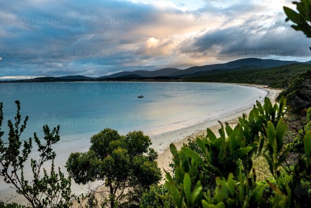 Looking over plants and trees, across a bay under a cloudy sky - Australian Stock Image