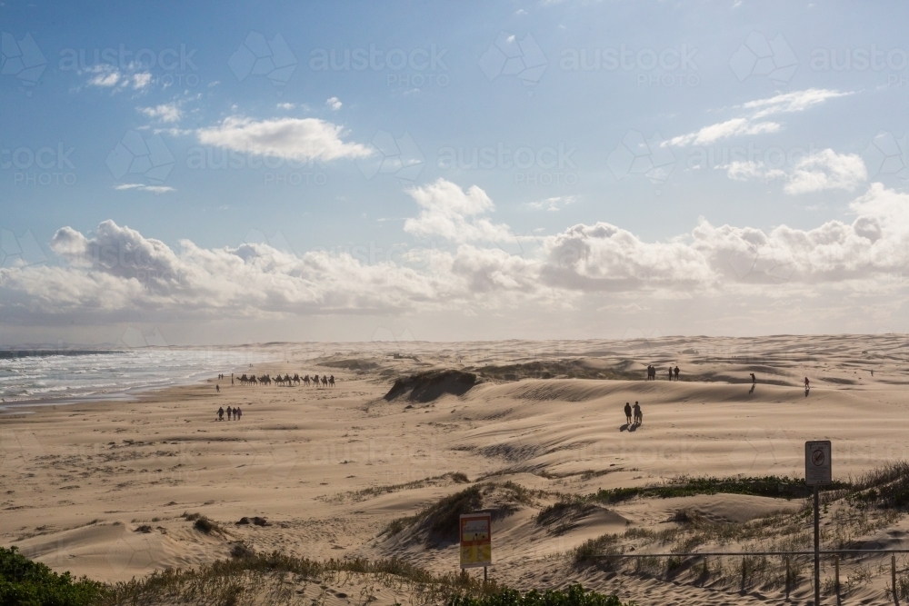 Looking over sand dunes and ocean at Stockton and Birubi Beach, Anna Bay, Port Stephens - Australian Stock Image