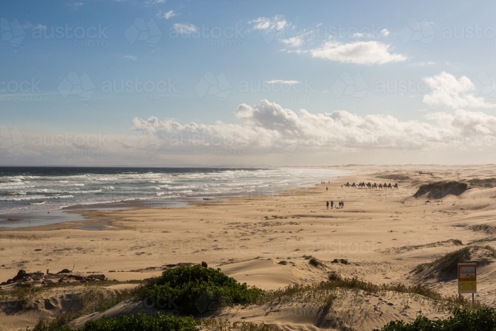 Looking over sand dunes and ocean at Stockton and Birubi Beach, Anna Bay, Port Stephens - Australian Stock Image