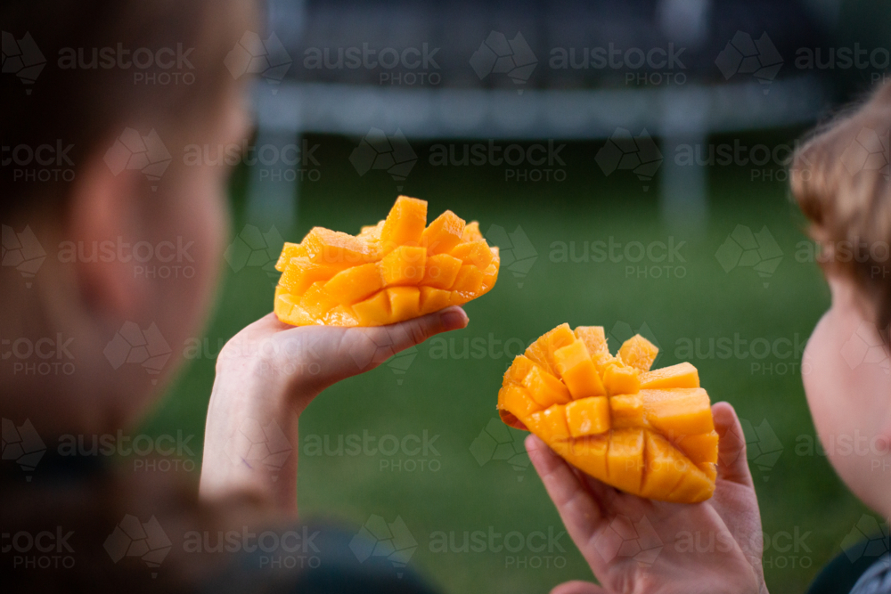 looking over the shoulder of kids eating mango in the back yard in the early evening - Australian Stock Image