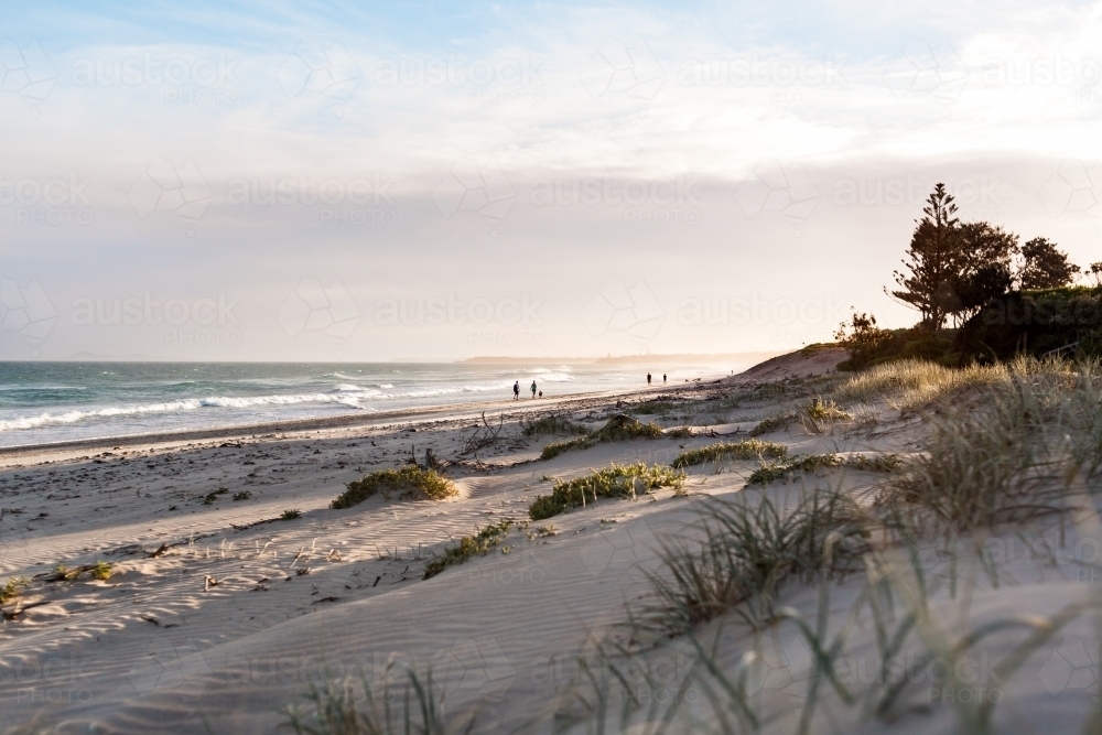 Looking over the top of soft sand dunes and beach grass towards the ocean. - Australian Stock Image