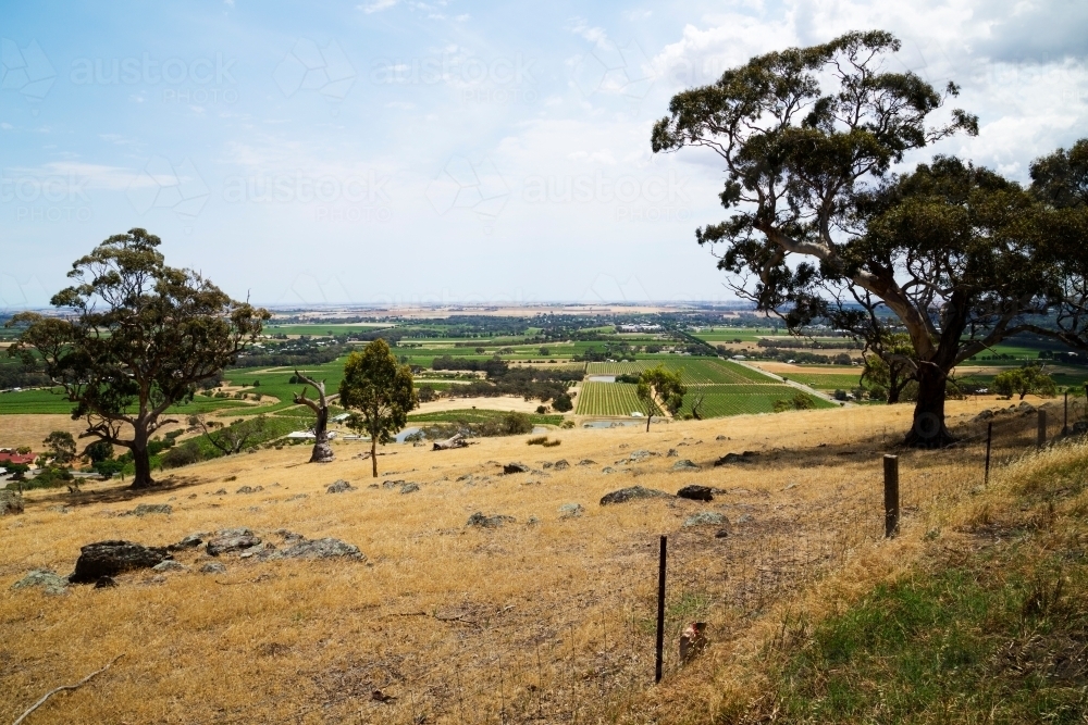 Looking over vineyards and farmland from a hilltop - Australian Stock Image