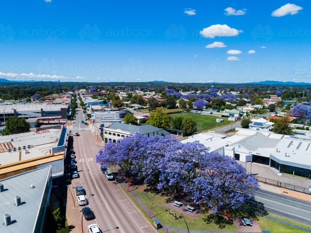 Looking past jacaranda trees down main street in country town of Singleton - Australian Stock Image