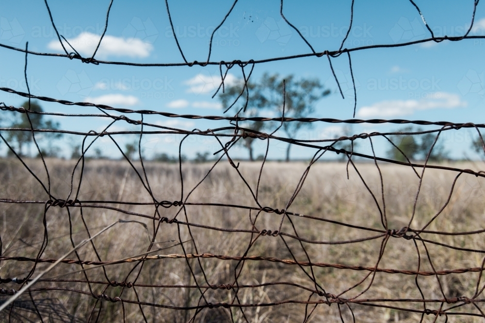 Looking through a wire fence - Australian Stock Image