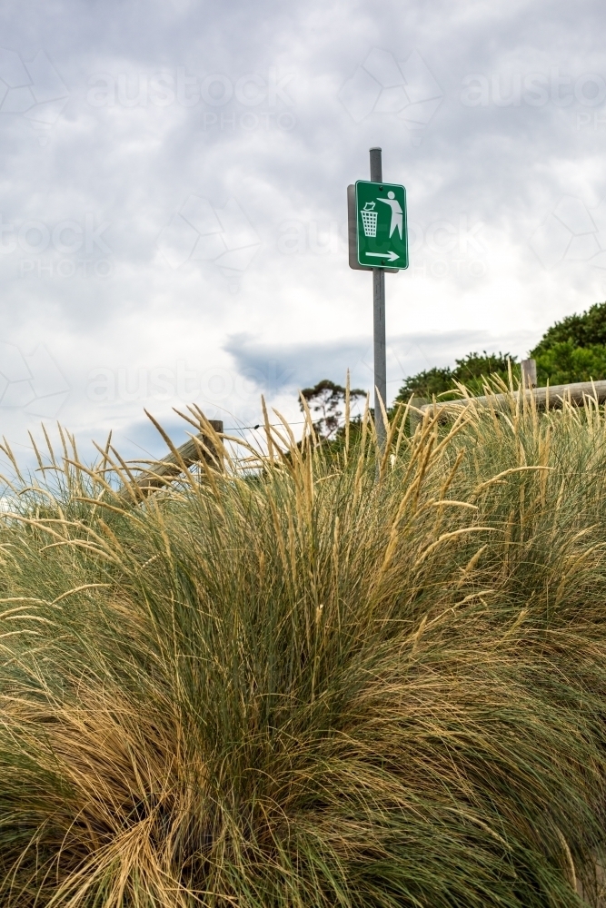Looking through dune grass to a no littering beach sign - Australian Stock Image