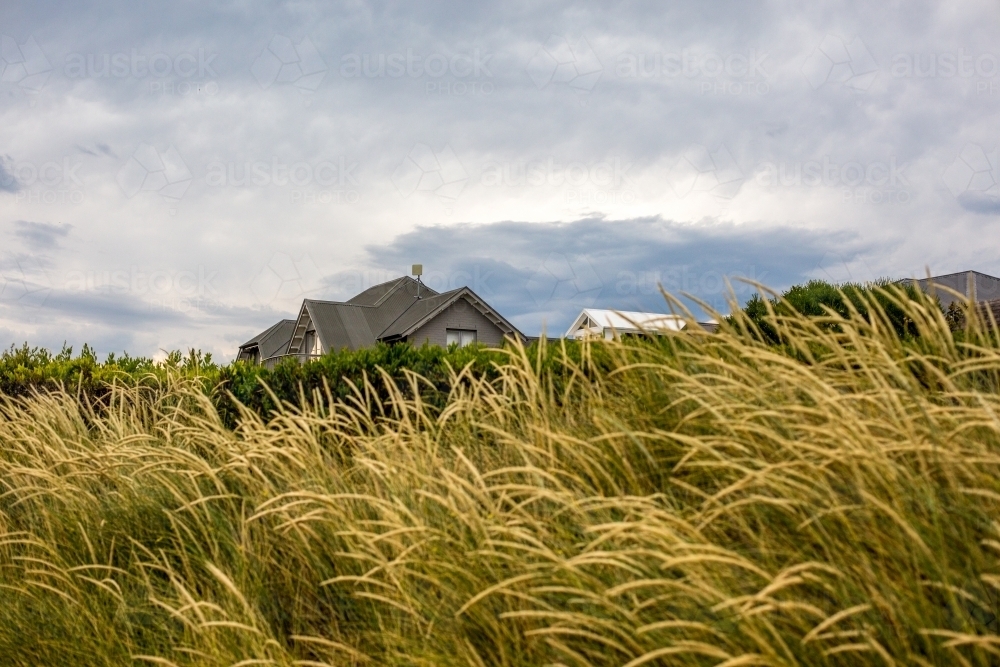 Looking through the dune grass to beach houses nestled on the waterfront - Australian Stock Image