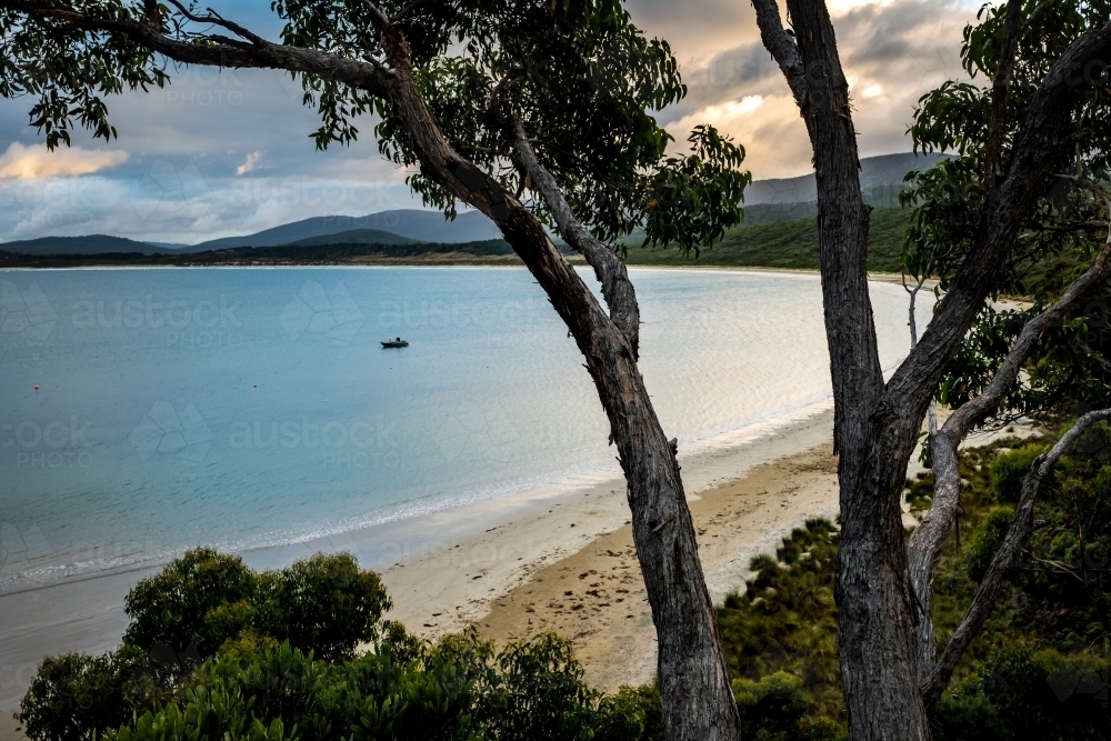 Looking through trees, to a bay in the early morning - Australian Stock Image