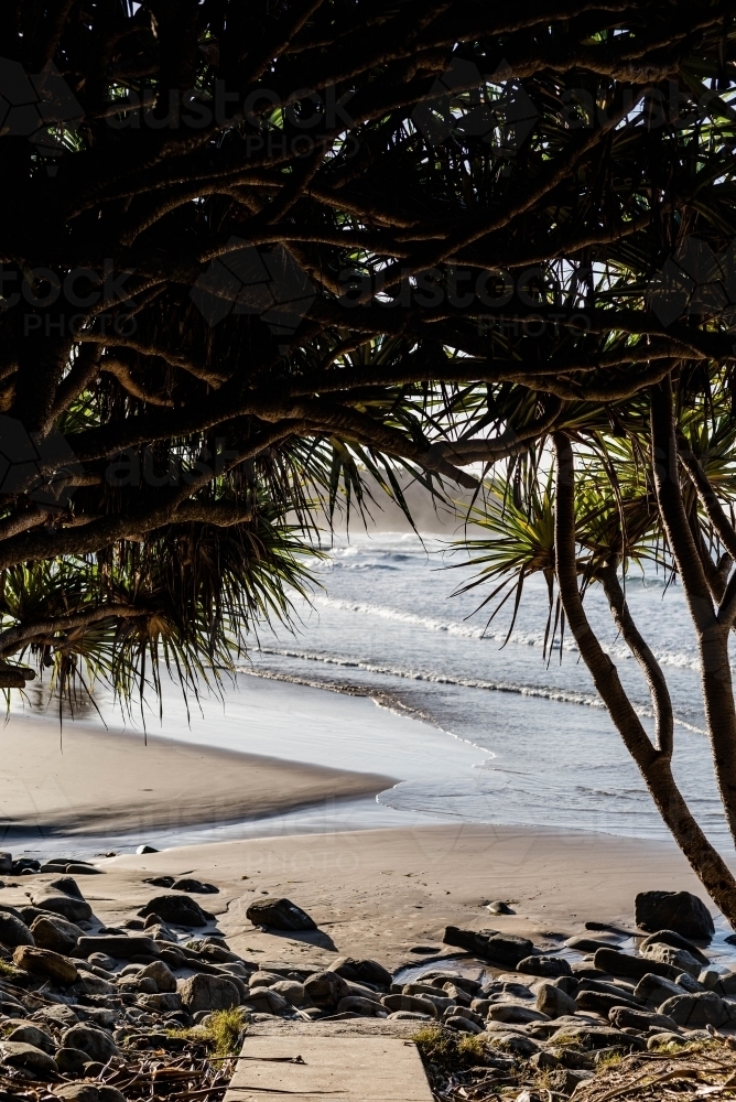 Looking under tree canopy to beach - Australian Stock Image