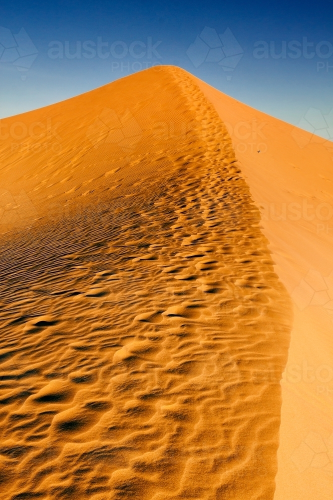 Looking up at a red sand dune under a blue sky - Australian Stock Image