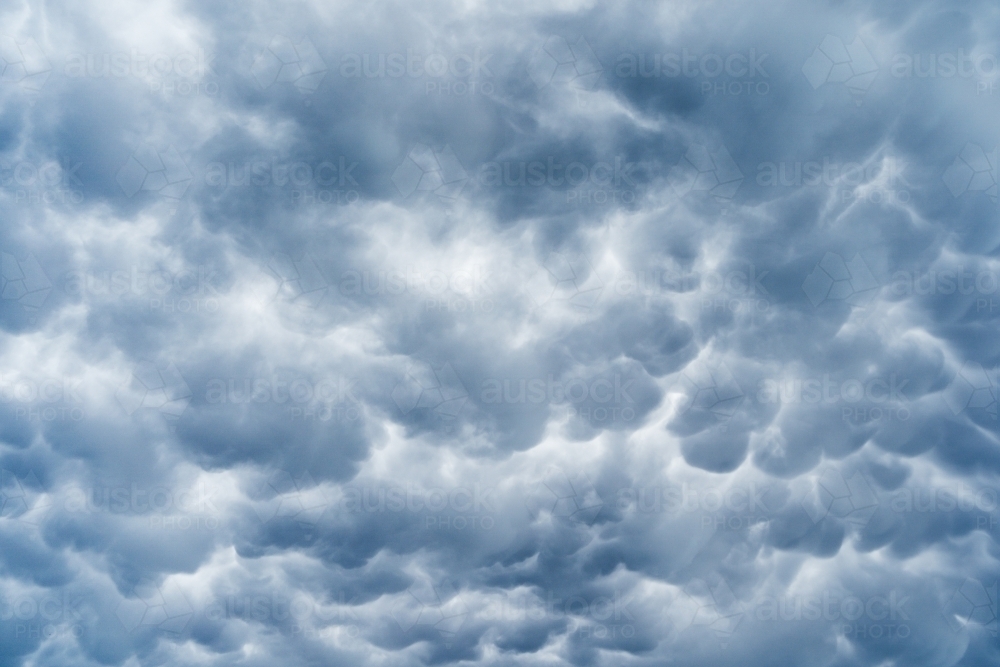 Looking up at patterns of mammatus clouds - Australian Stock Image